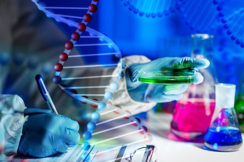 L-Carnosine Powder​