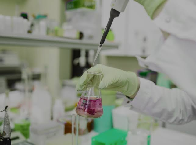 custom peptides for biotech research