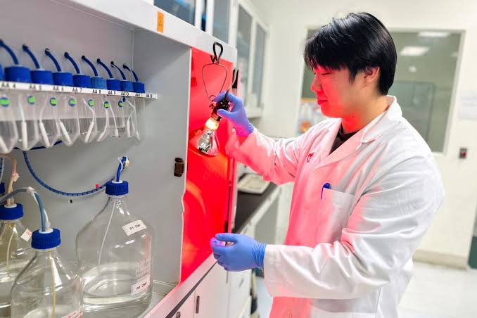 custom peptides for biotech research