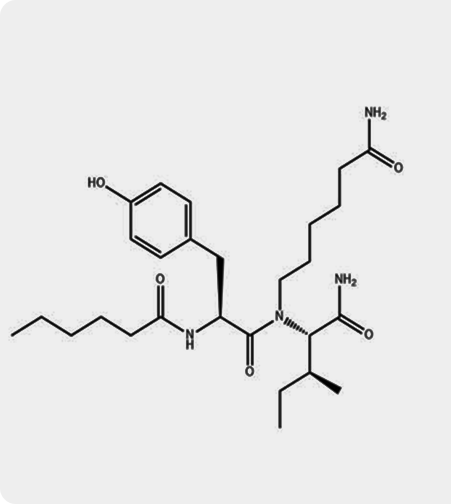 Dihexa CAS