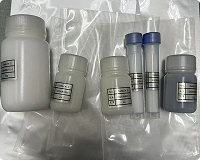 Synthetic Peptide Backbone